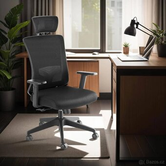 Kancelářská ergonomická židle Phoibe - 3