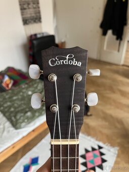 Koncertní ukulele CORDOBA 15CFM Granite Gray + obal - 3
