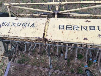 Secka saxonia - 3