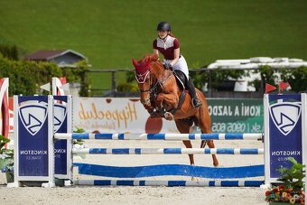 Mladá kobylka s polovičným pôvodom - 3