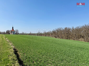 Prodej pole, Číčovice - 3
