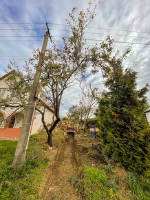 Prodej vinného sklepa 54 m² Hýsly - 3