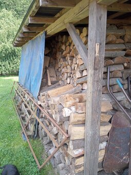 Palivové dřevo suché, štípané - 3
