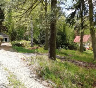 Prodej pozemku Všestary u Říčan - 3