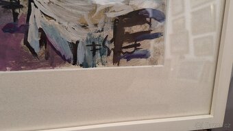 František Emler  Paříž - 3