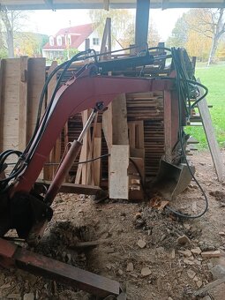 Kráčející bagřík - 3