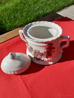 Cukřenka starožitná - 3