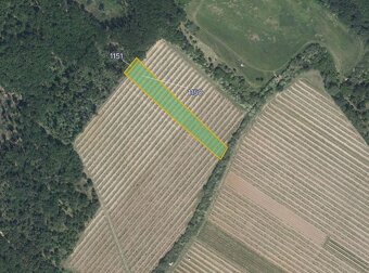 Zemědělská půda, prodej, Sedlešovice, Nový Šaldorf-Sedlešovi - 3