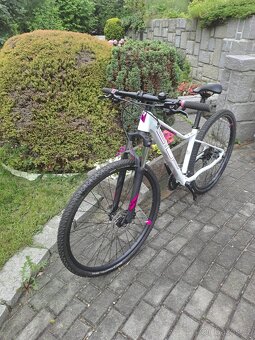 Superior XC 819 W - 3