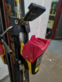 Fischer Revolution carve 160 - 3