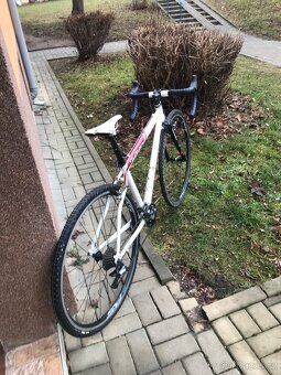 Silniční/Cyklokros kolo WILIER - 3