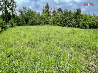 Prodej louky, 1189 m², Svébohov - 3
