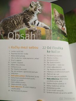 Co nám říká kočka - 3