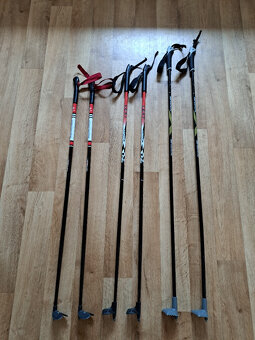 Hůlky na běžky, Leki, 110 cm - 3