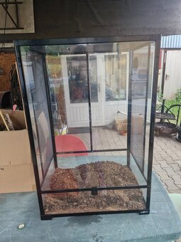 Terarium - 3