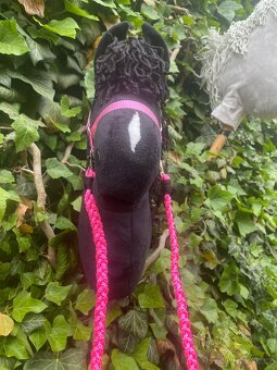 Hobby horse - 3