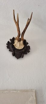 Trofeje - 3