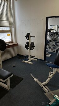 Kotouče grunsport - 3