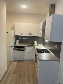 DLouhodobý pronájem bytu 2+kk (55 m2) - 3