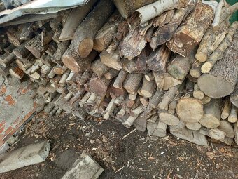Zbytek palivového dřeva,tvrdé ,suché - 3