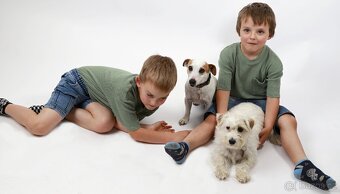 FOTOGRAFOVÁNÍ domácích mazlíčků - 3