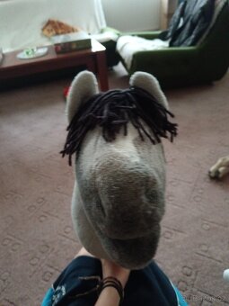 Hobby horse - 3