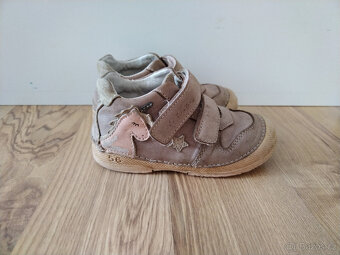 DD step botasky 23 - 3