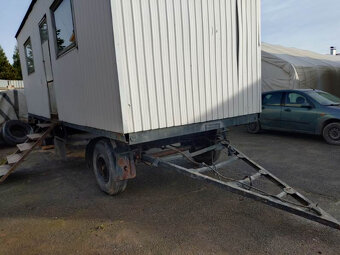 MARINGOTKA OBYTNÁ - 3