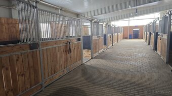 Ustájení koní - 3