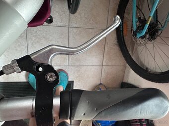 Thule Chariot CX1 + tyč za kolo + miminkovník - 3