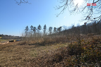 Prodej pole, 7262 m², Troubsko - 3
