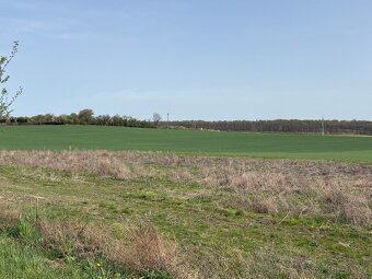 Prodej stavebního pozemku 3767m2 v Bělušicích (955Kč/m2) - 3