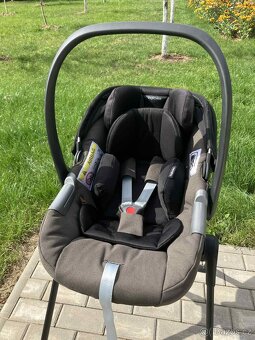 Koarek  3v1-  inglesina ptia , vajico - 3