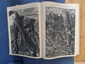 Foto knihy národního umělce Karla Plicky - 3