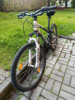 Kolo vel. 24,5 ( výška postavy do 155 cm ) - 3
