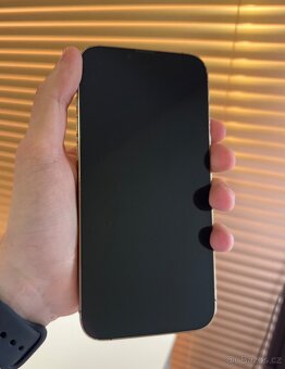iPhone 13 Pro Max - 3