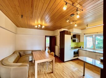Pronájem bytu 6+ kk 110 m² - 3