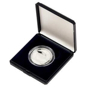 Pamětní stříbrná mince BIS 100,- Kč,  ČNB 2024  PROOF - 3