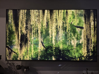 Televize Panasonic 65" - 3