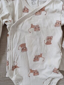Lindex body - 3