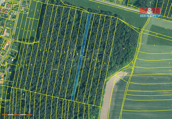 Prodej lesa, 6005 m², Dražíč - 3