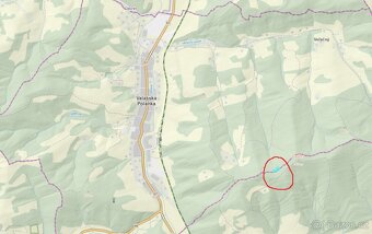 Prodám lesní pozemky v k. ú. Valašská Polanka - 3
