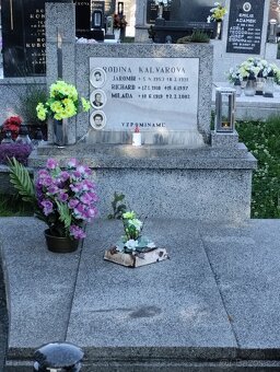 Prodám dvojhrob Ludgeřovice akce sleva . - 3