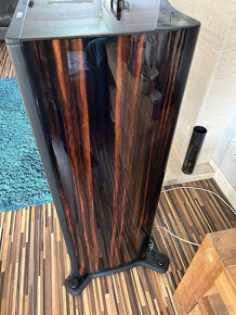 Monitor Audio Platinum PL300 II ( Price: 3500 EUR ) - 3