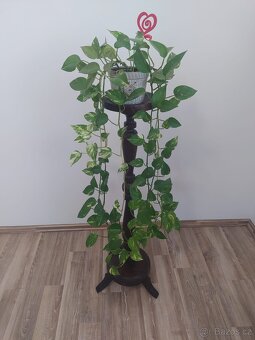 Květinový stolek - 3