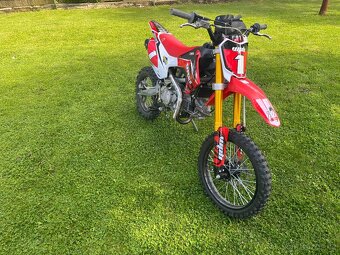 Prodám pitbike WPB155 - 3