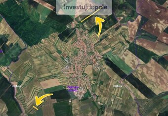 Prodej pole v k.ú. Čejkovice - 3