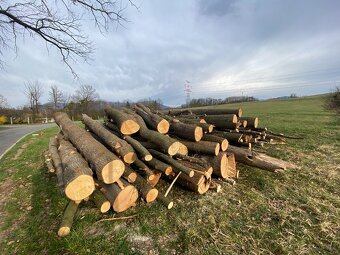 Palivové dřevo - 3