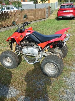 SMC 300 ram - 3