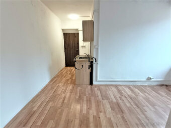 Pronájem bytu 1+kk, 40 m2, obec Kejnice - 3
